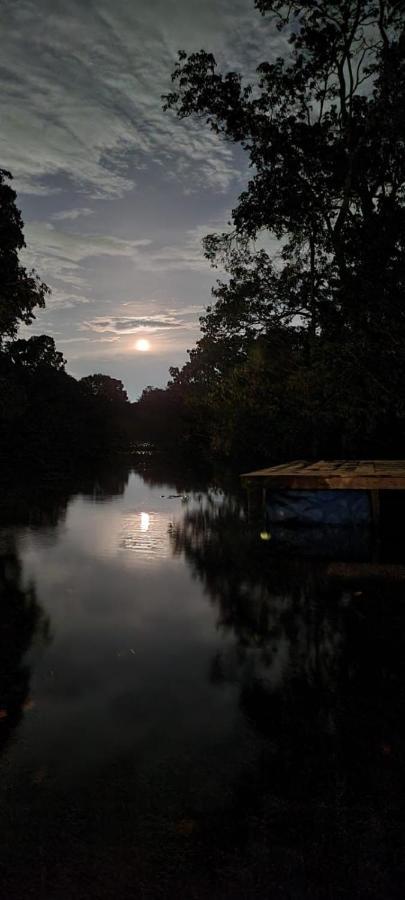 ホテル Refugio Samauma マナウス エクステリア 写真