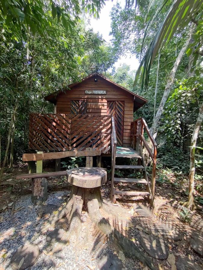 ホテル Refugio Samauma マナウス エクステリア 写真