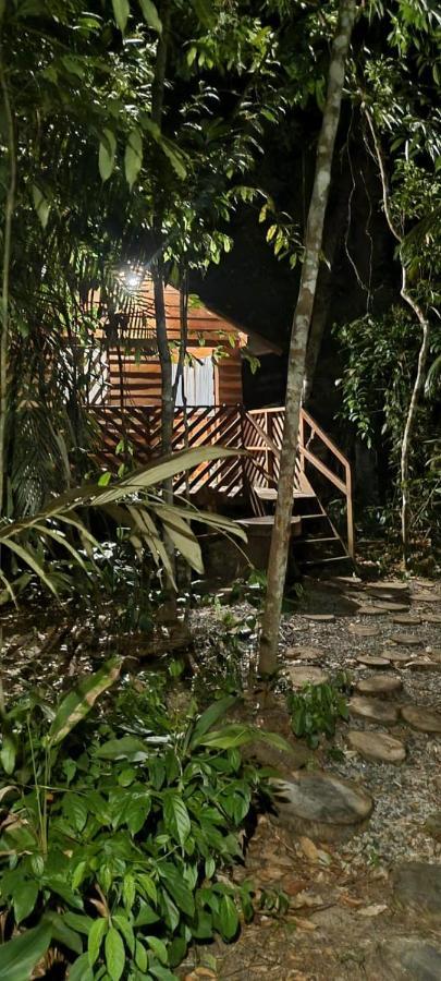 ホテル Refugio Samauma マナウス エクステリア 写真