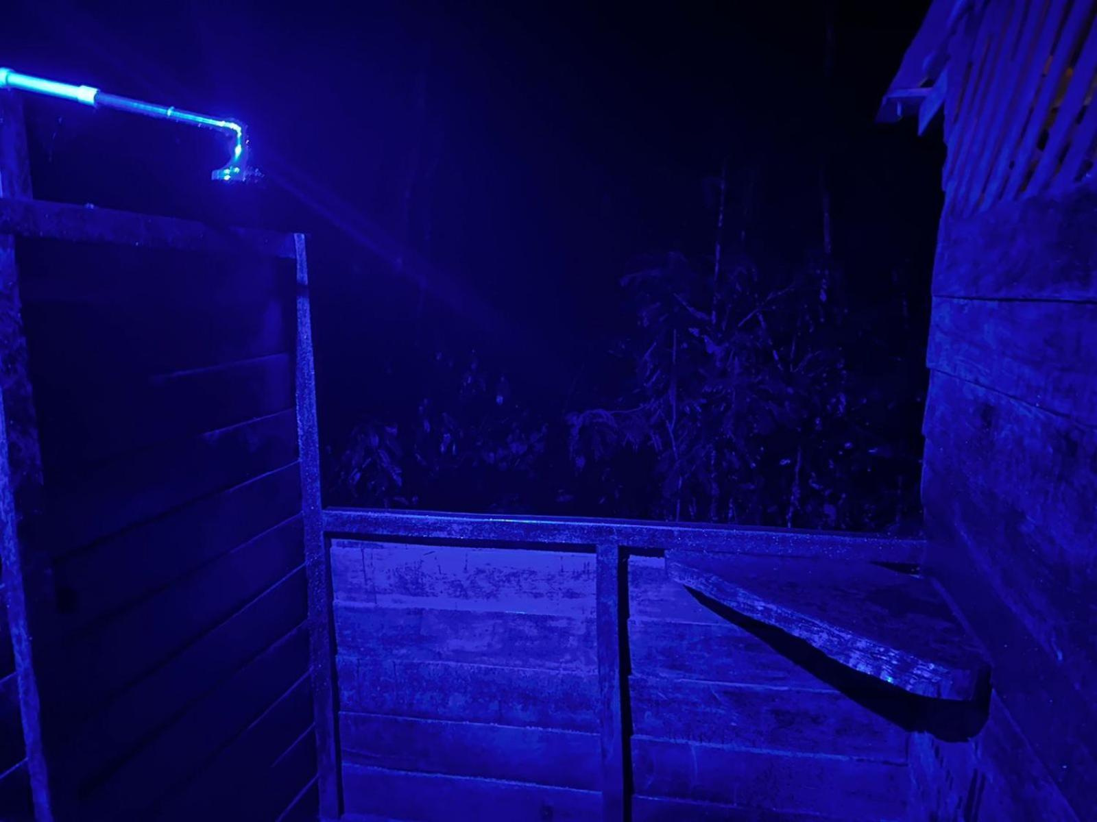 ホテル Refugio Samauma マナウス エクステリア 写真