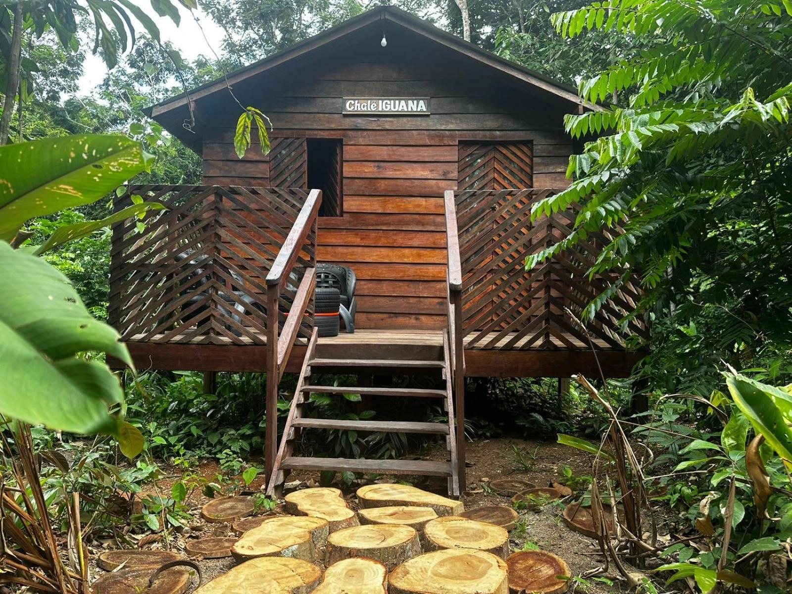 ホテル Refugio Samauma マナウス エクステリア 写真