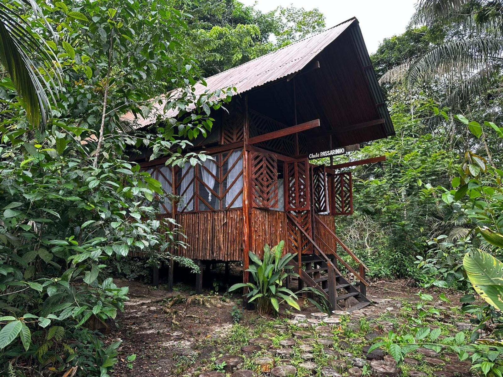 ホテル Refugio Samauma マナウス エクステリア 写真
